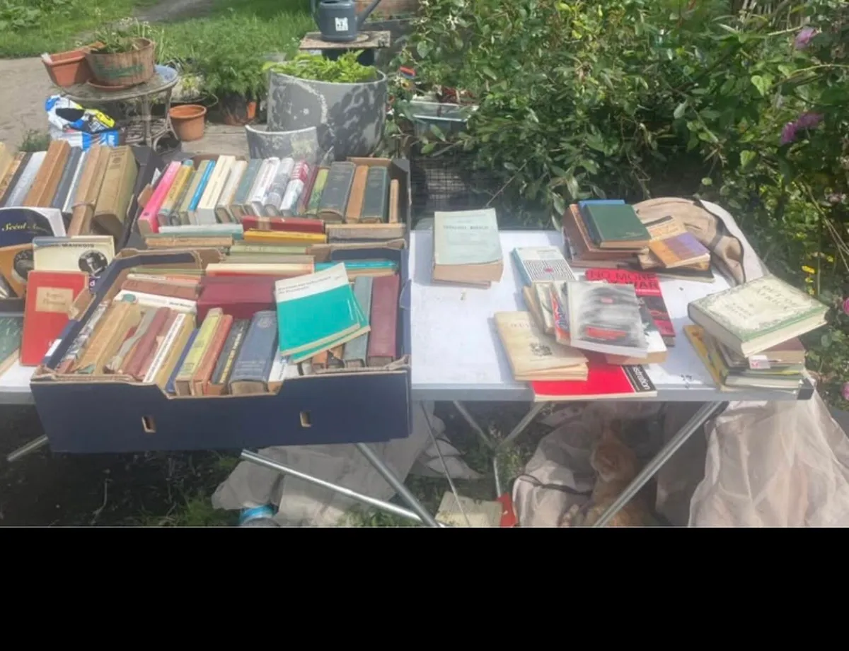 Old books 300+ collection co limerick only - Image 2