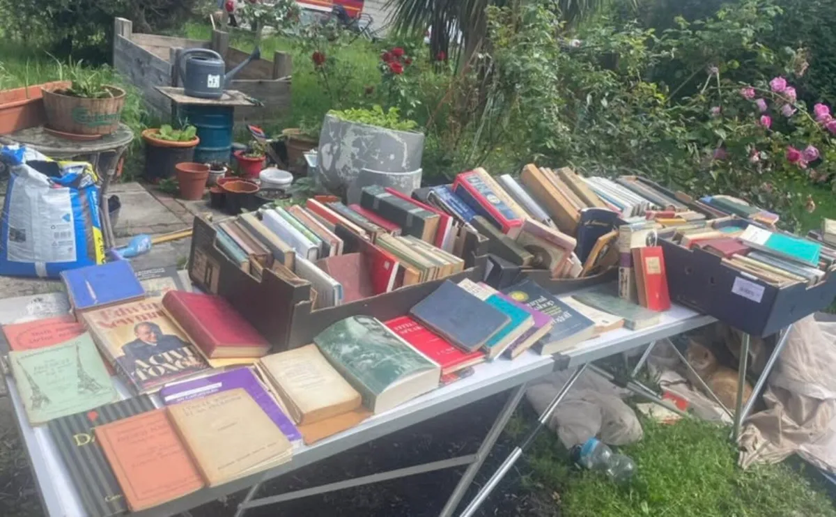 Old books 300+ collection co limerick only - Image 3