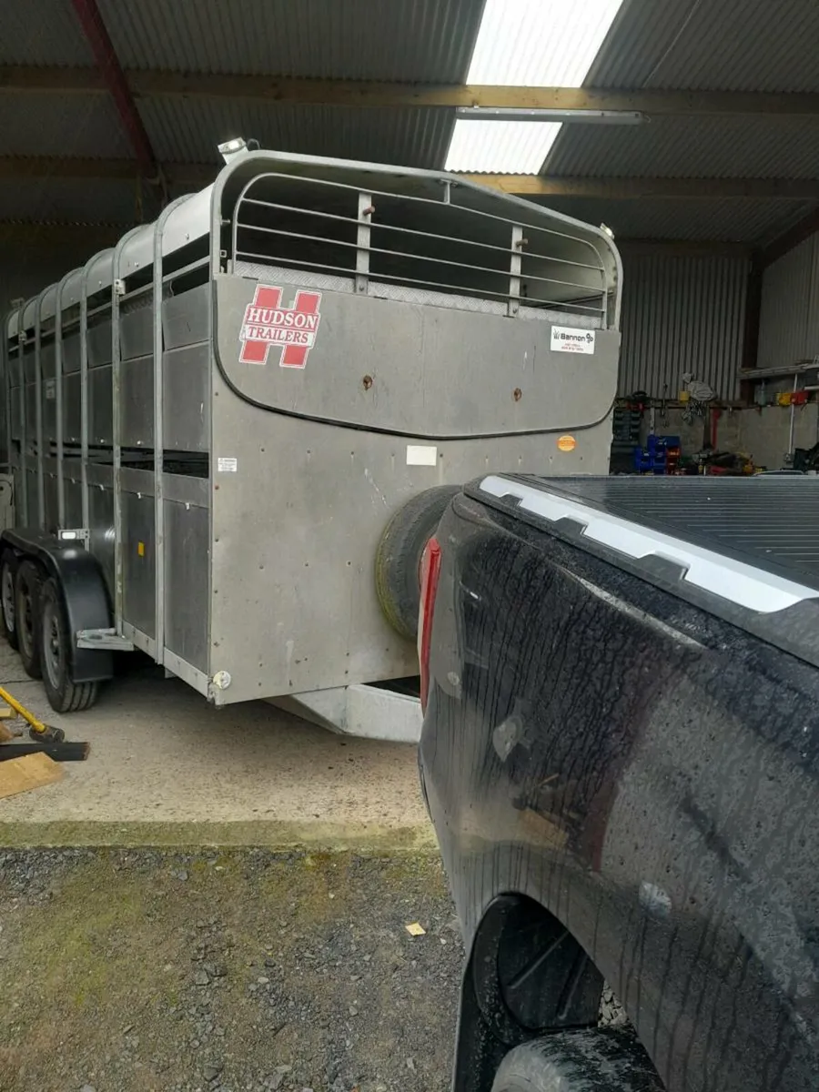 Hudson 14by6 tri axle cattle trailer sheep decks - Image 3