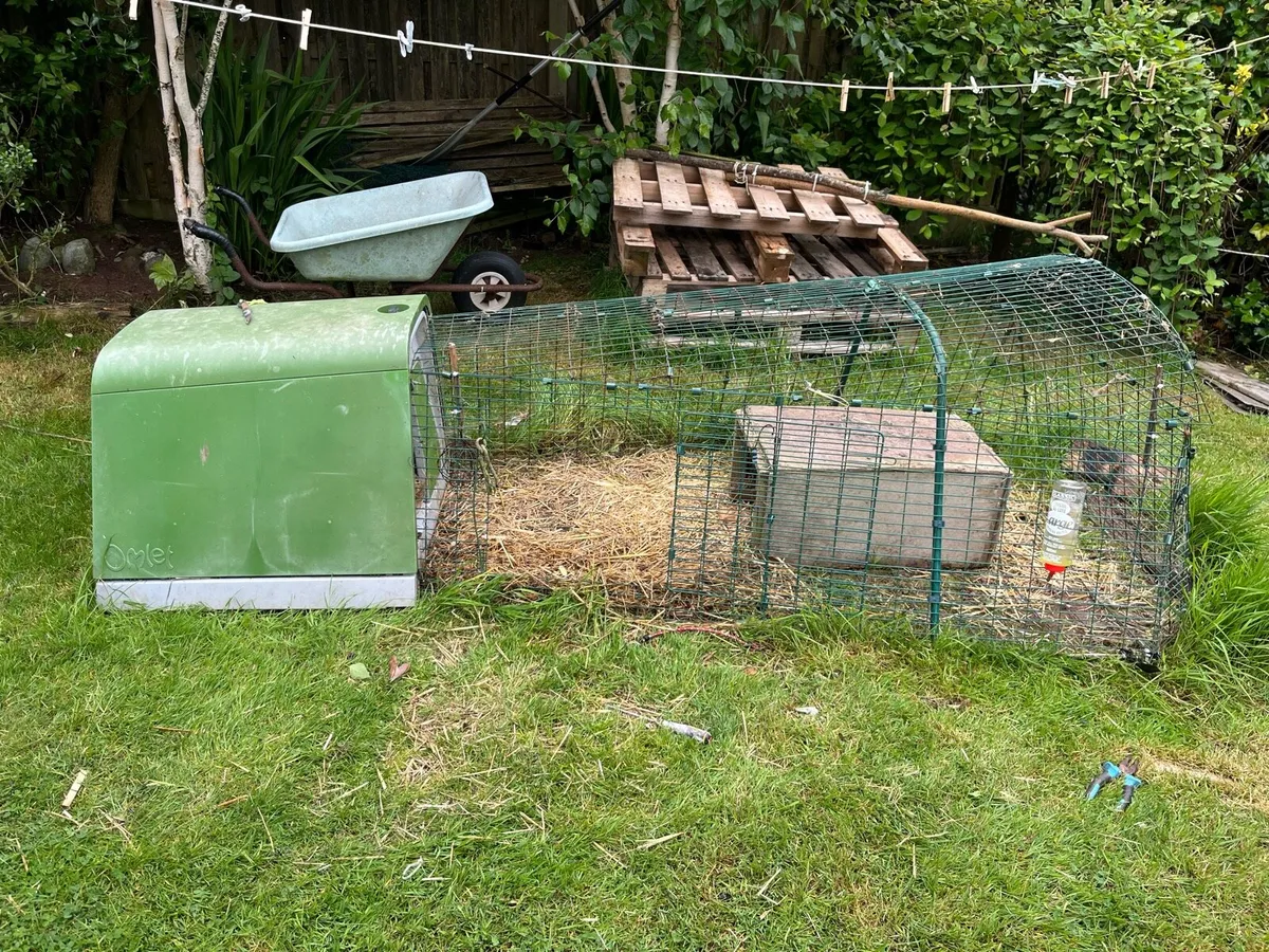 Eglu Rabbit Hutch - Image 2