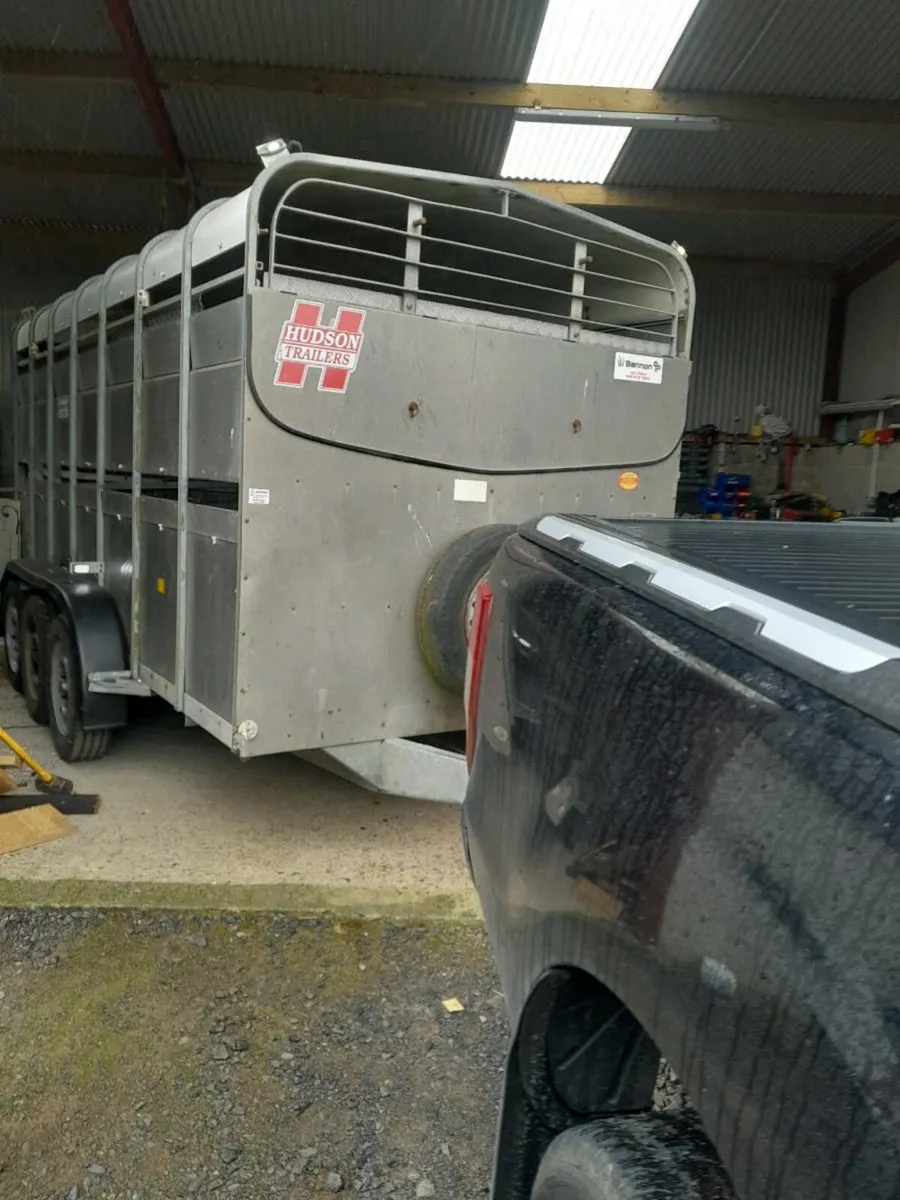 Hudson 14by6 tri axle cattle trailer sheep decks - Image 1