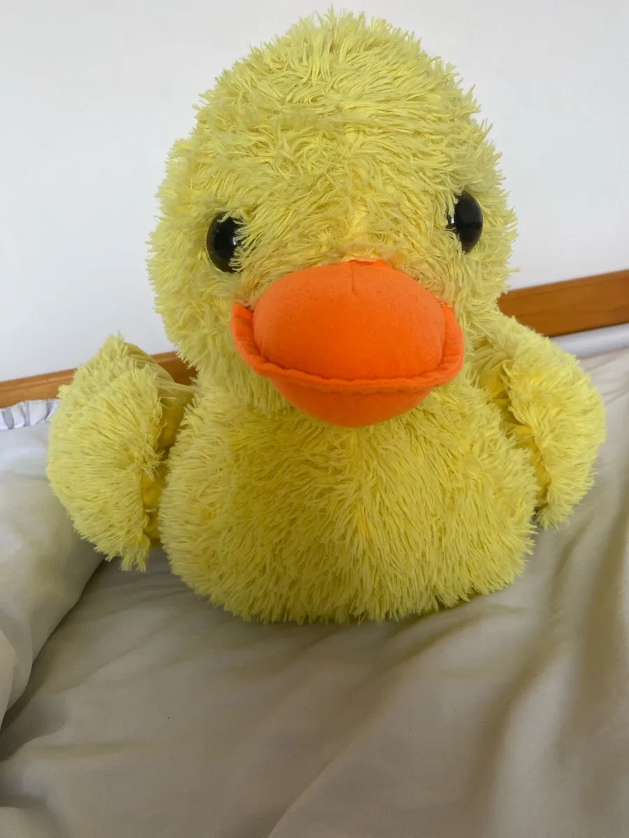 Duck teddy - Image 1