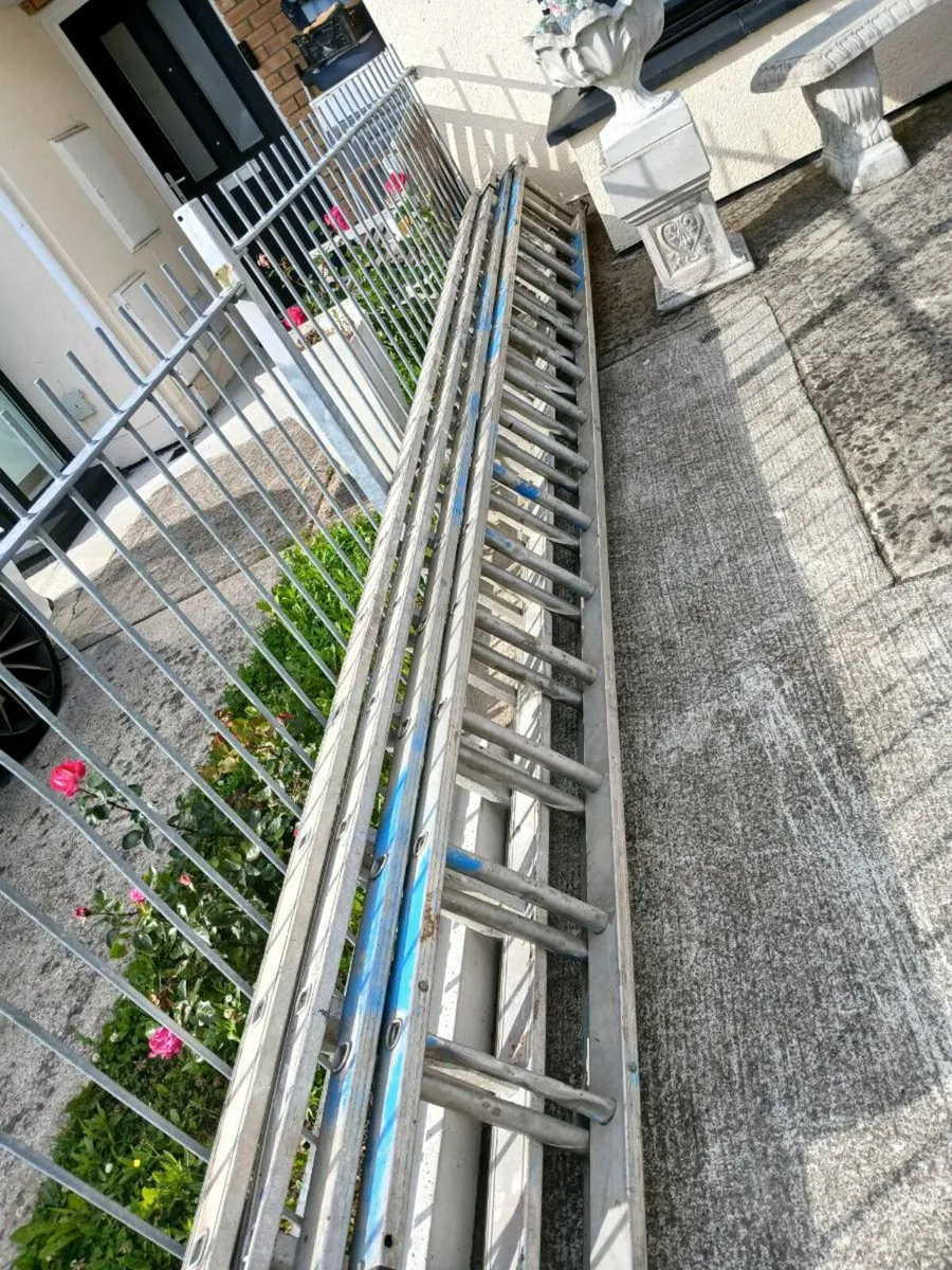 Double ladders x 2 - Image 1