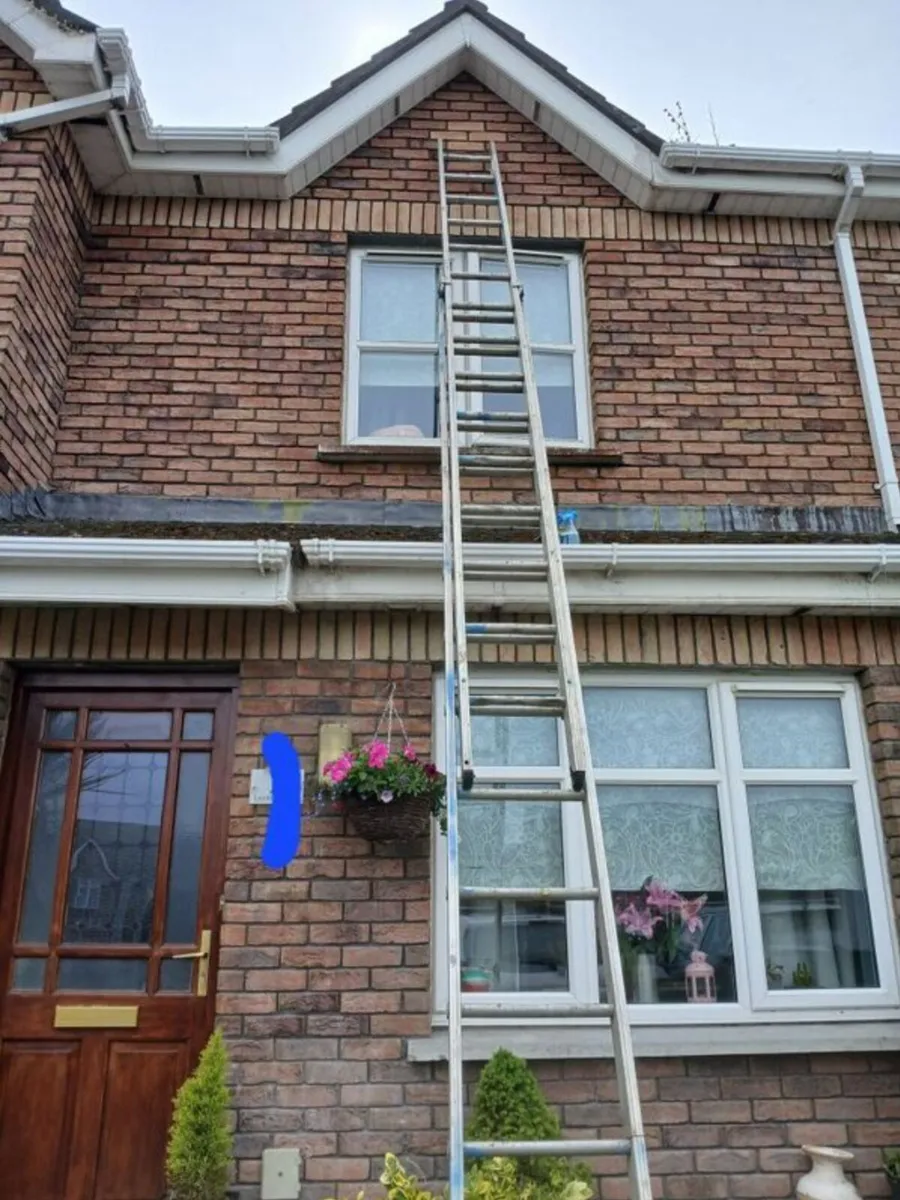 Double ladders x 2 - Image 3