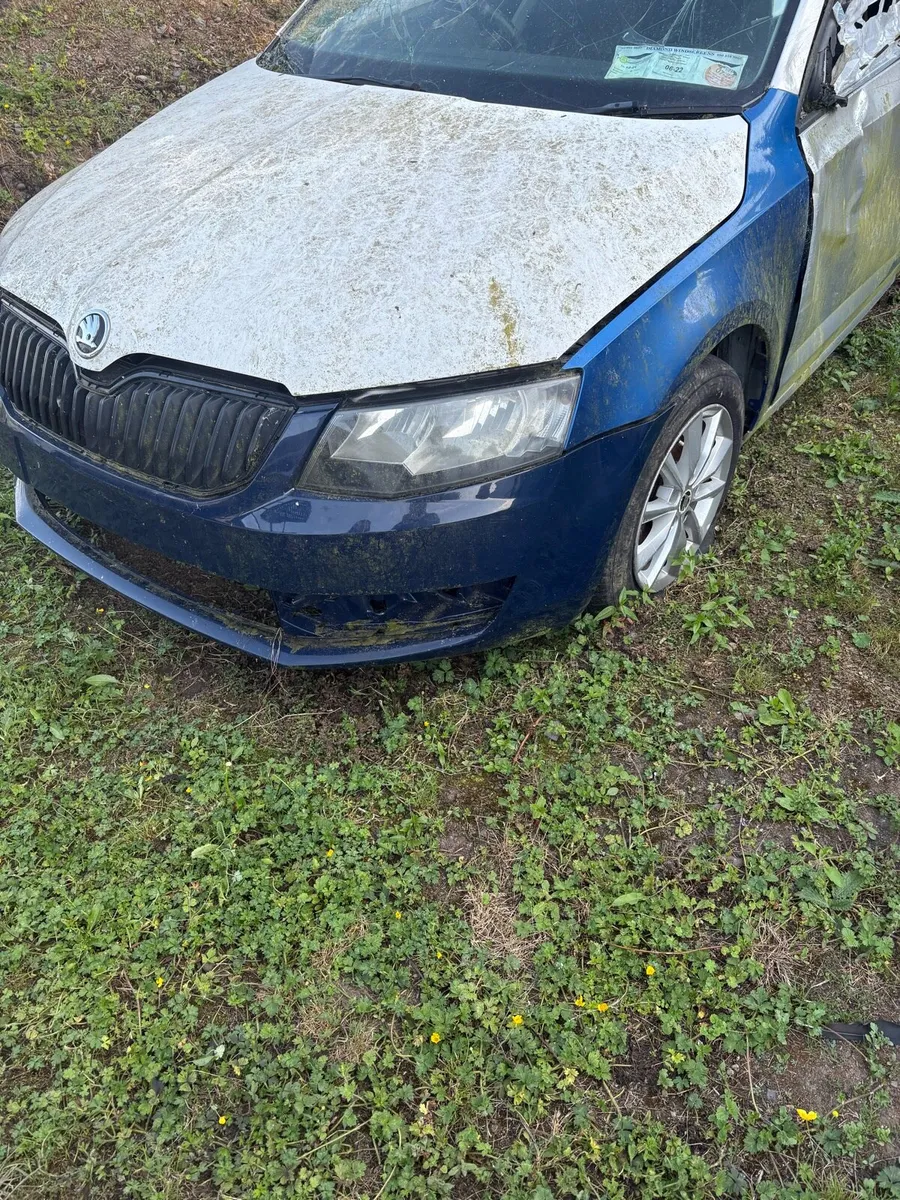 Skoda Octavia - Image 1