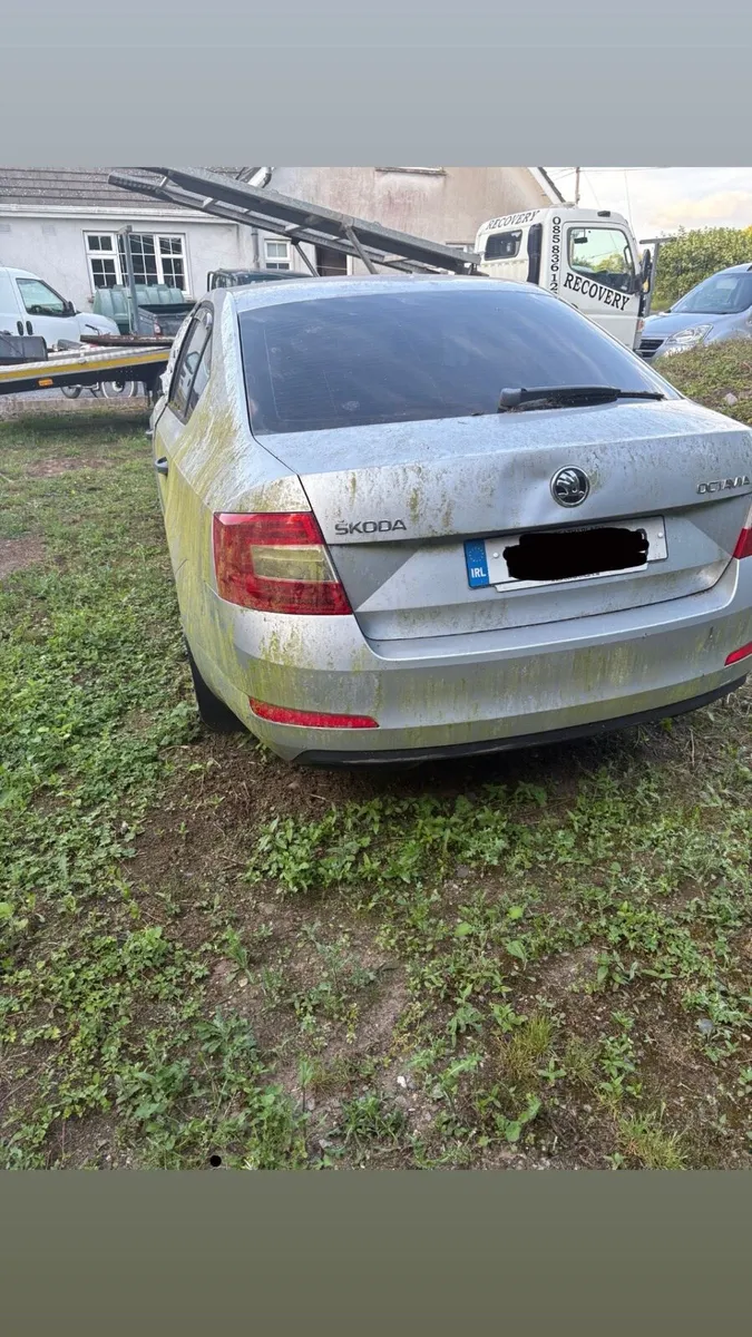Skoda Octavia - Image 2