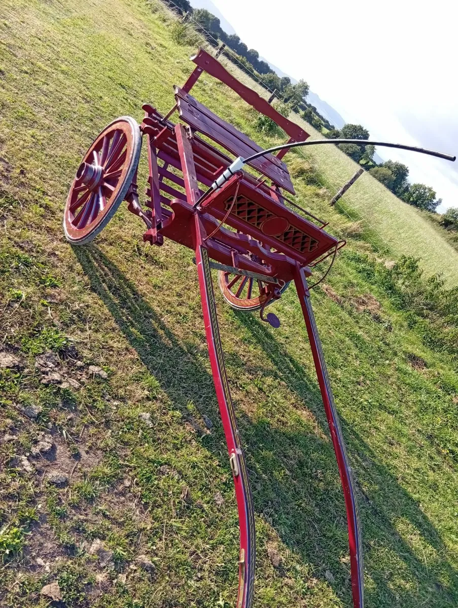 Jaunting car - Image 2
