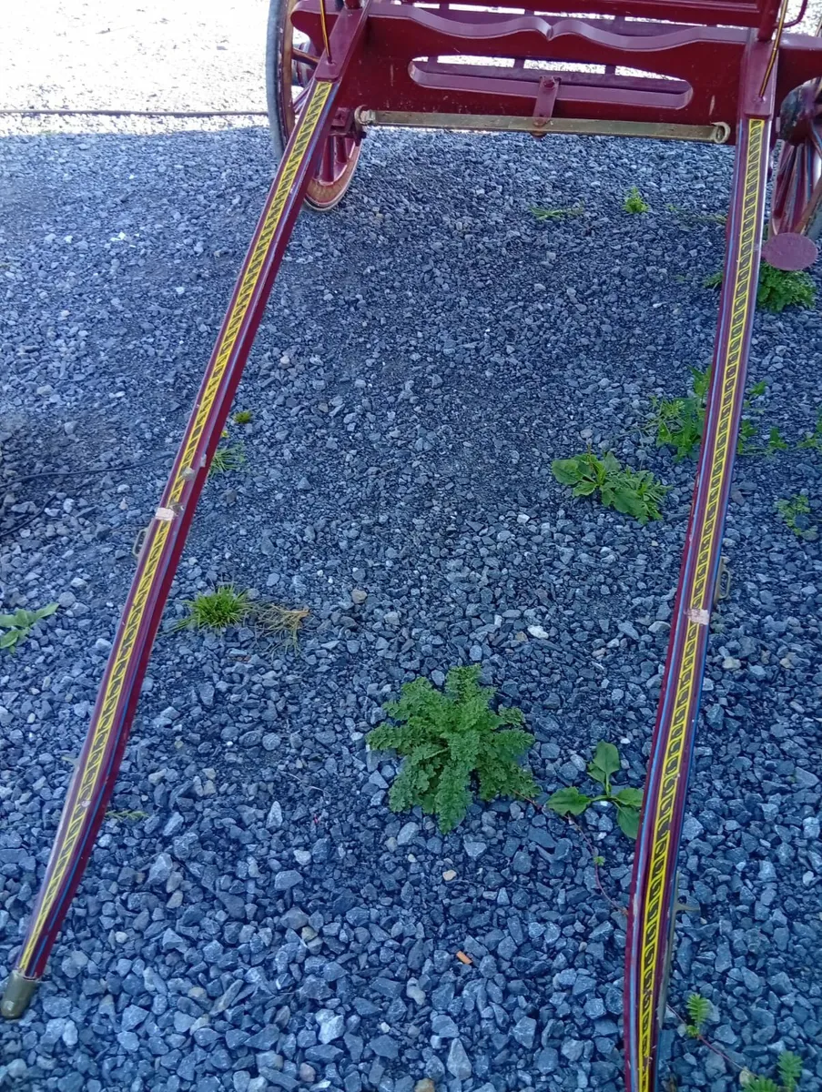 Jaunting car - Image 3
