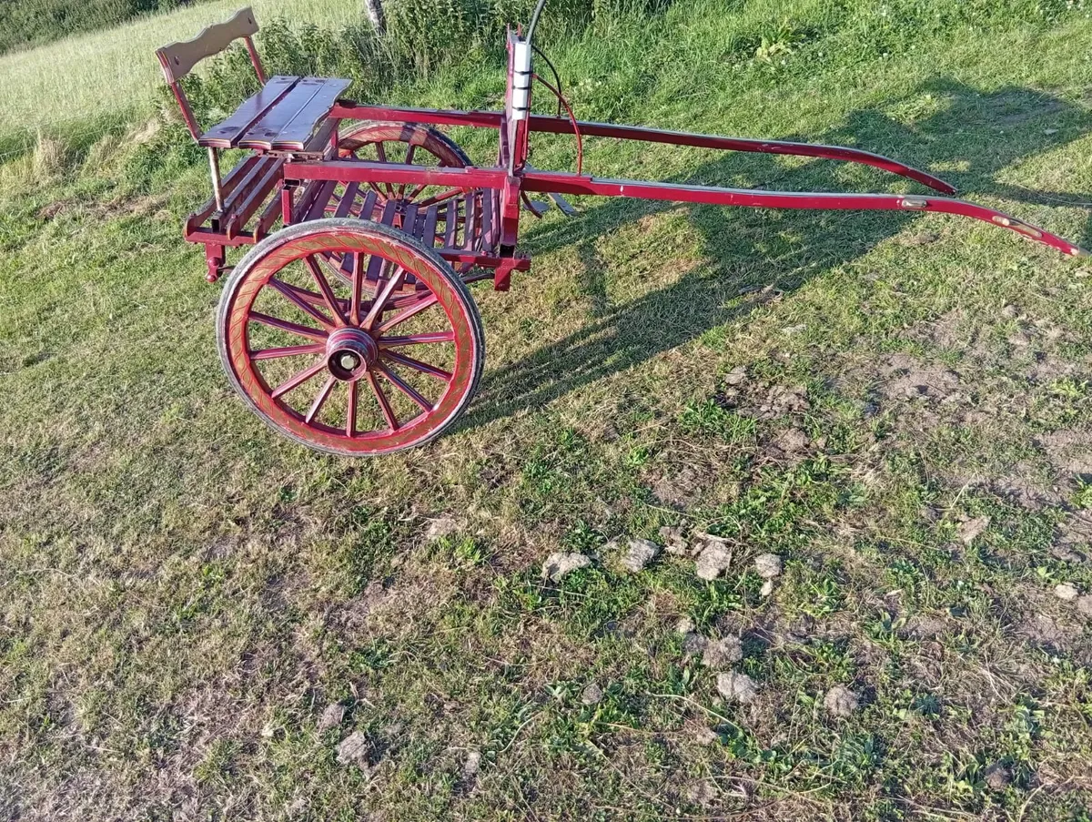 Jaunting car - Image 4
