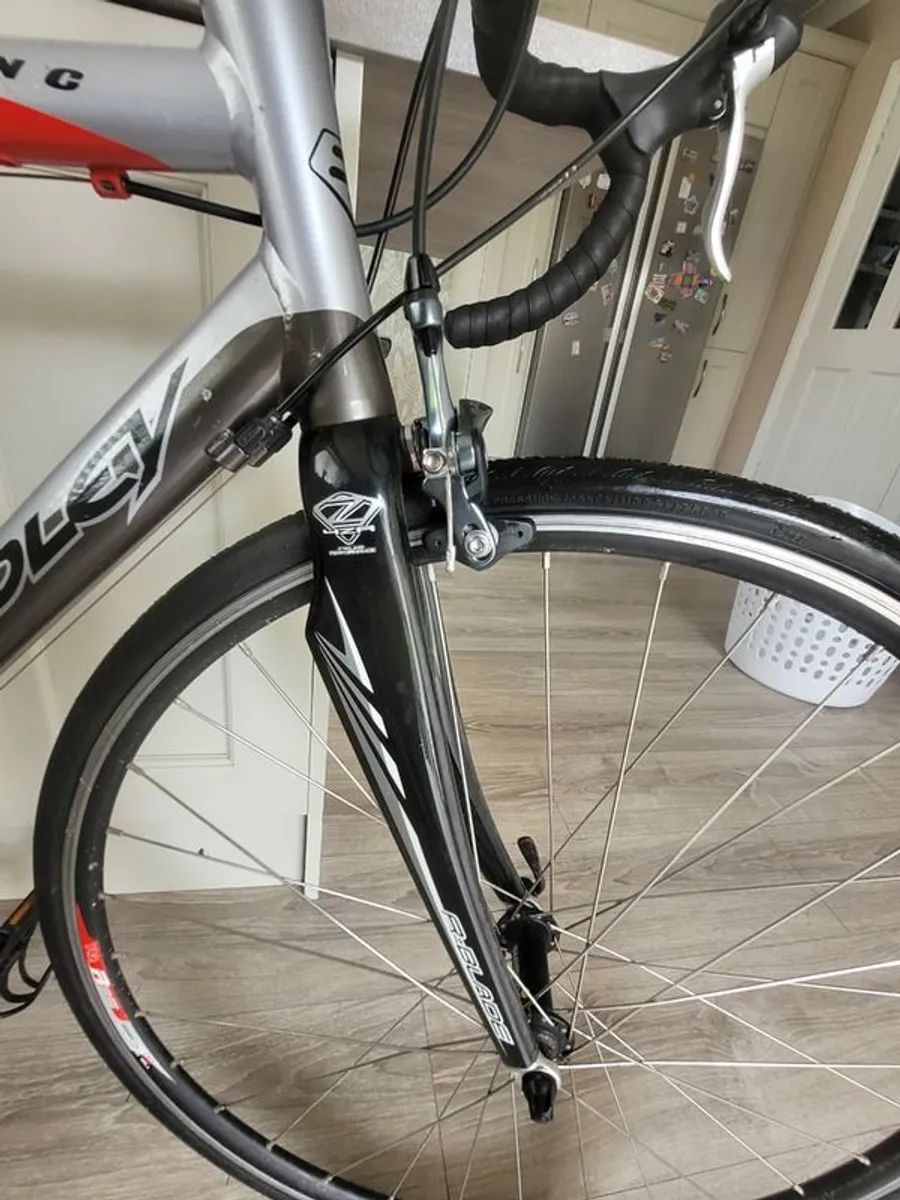 Ridley Triton - Image 2