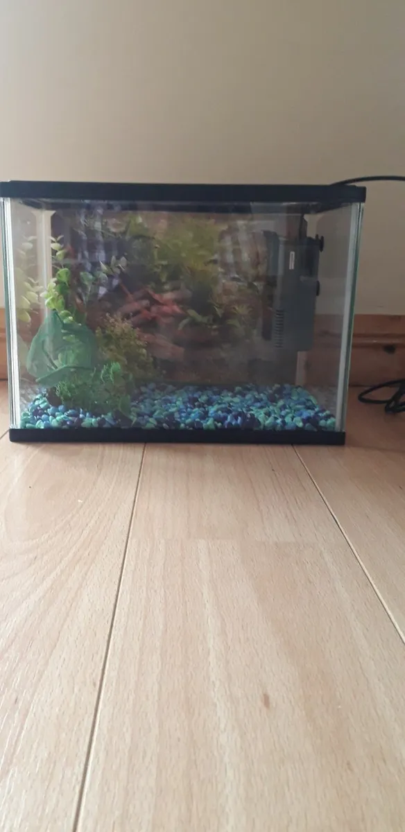 Fish tank - Image 1