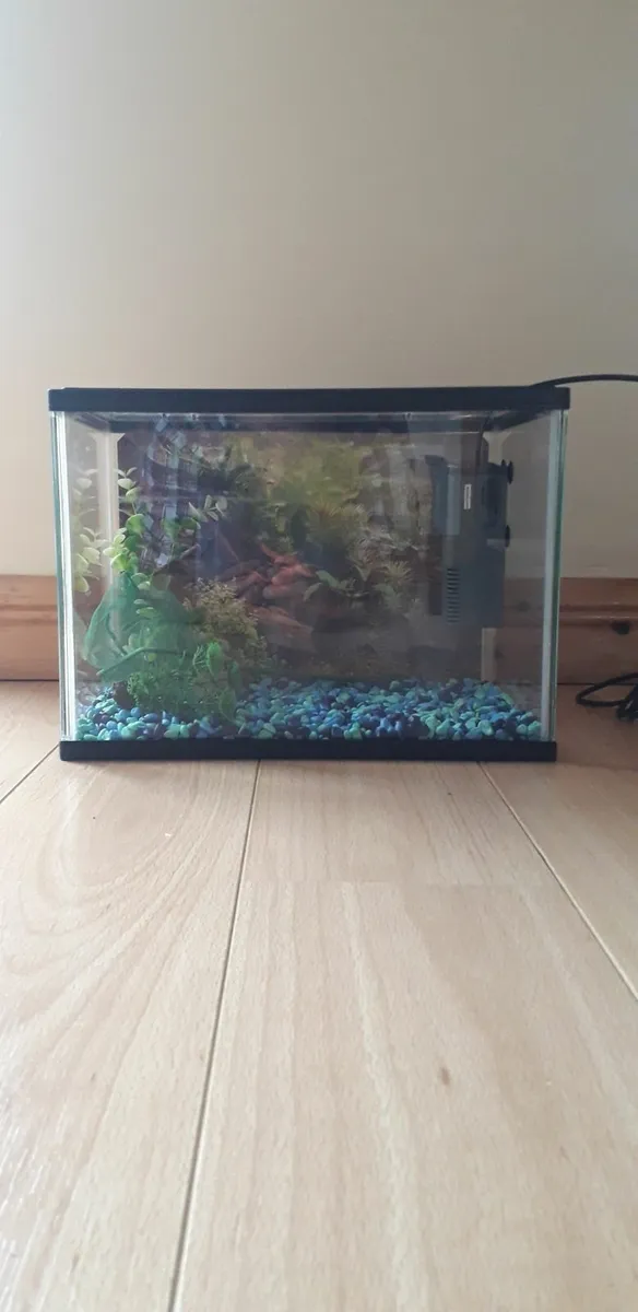 Fish tank - Image 2