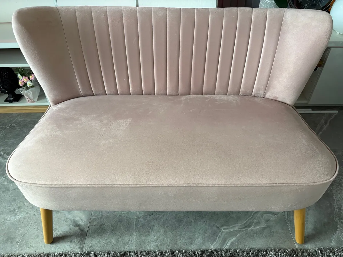 Pink Plush Velvet Two Seater Chair - Image 1
