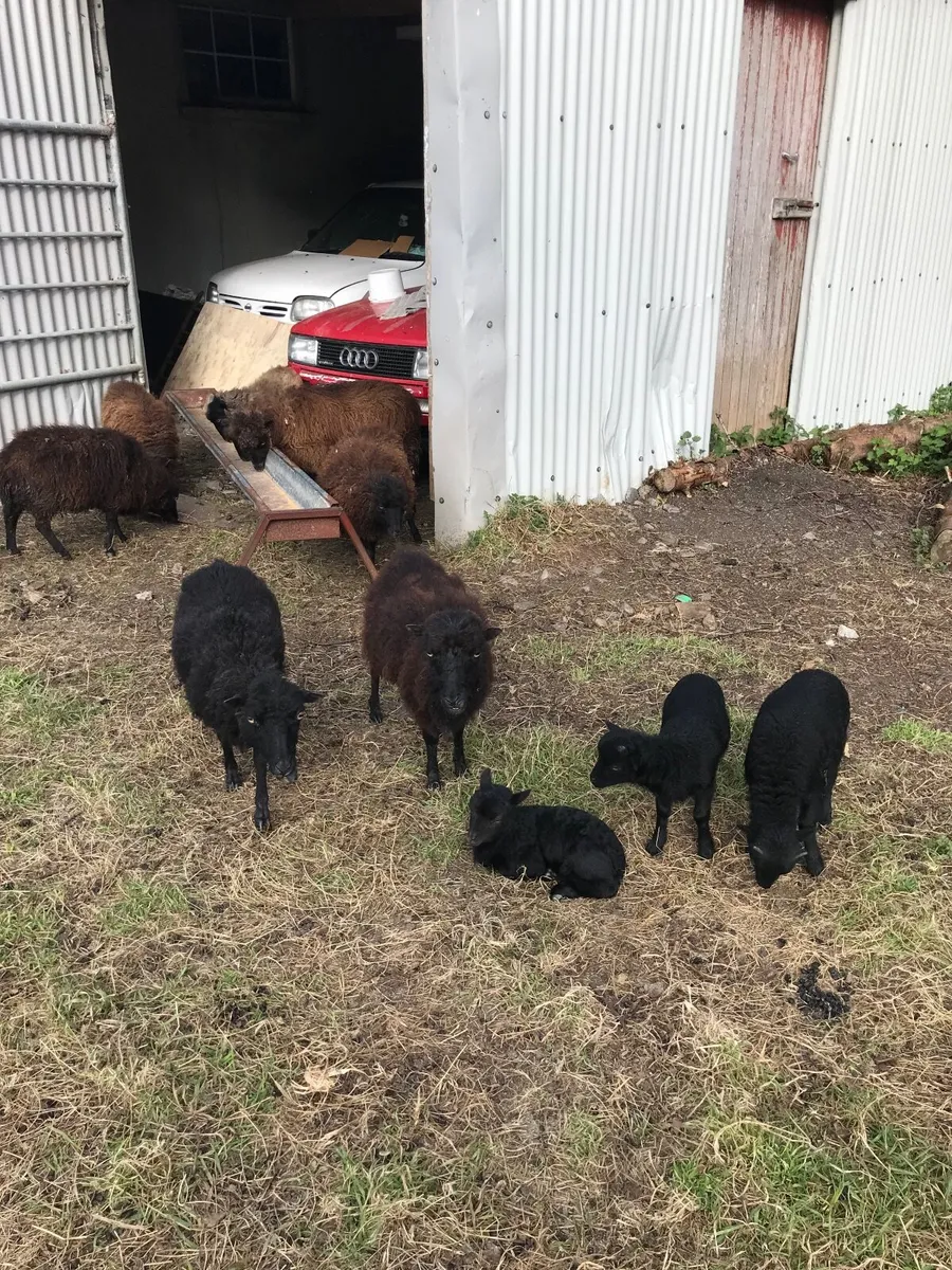 Farming - Image 2