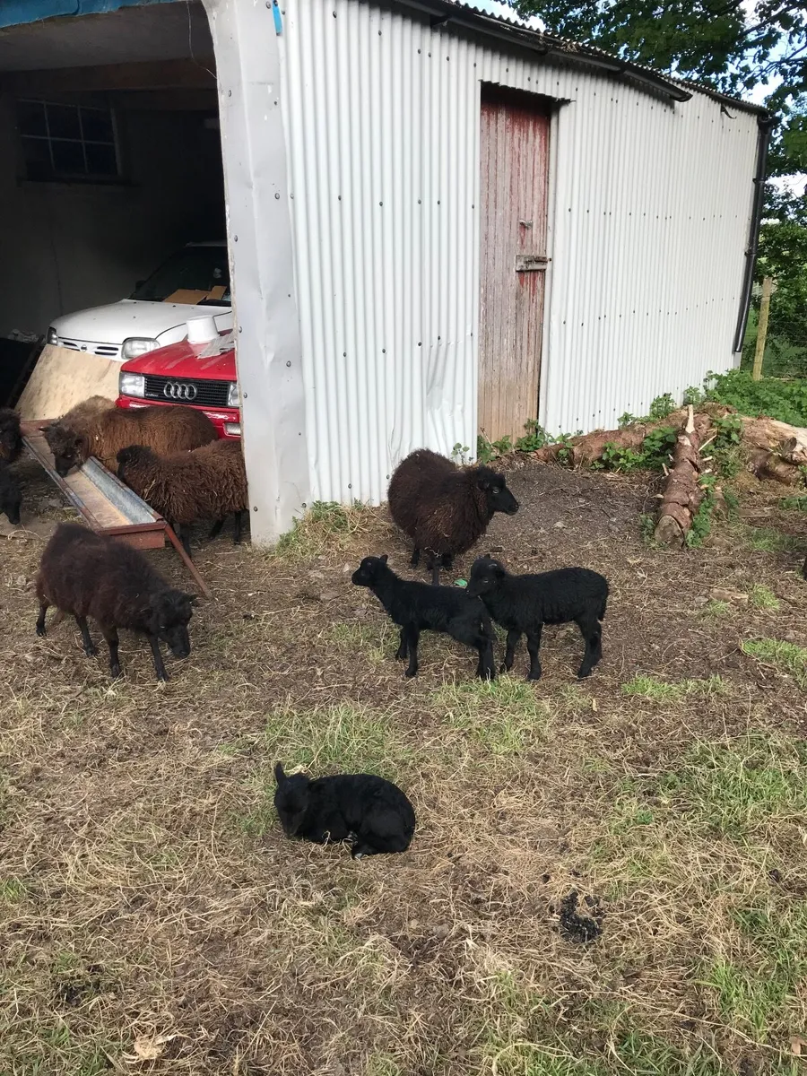 Farming - Image 4