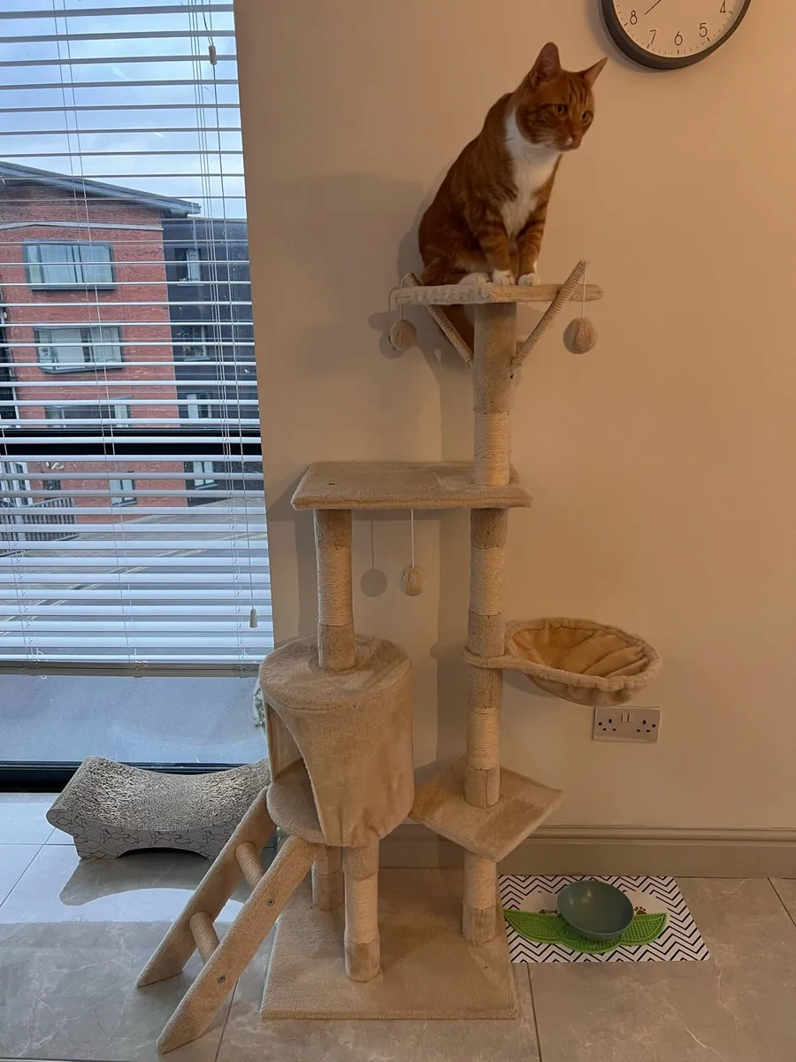 Cat tree - Image 1