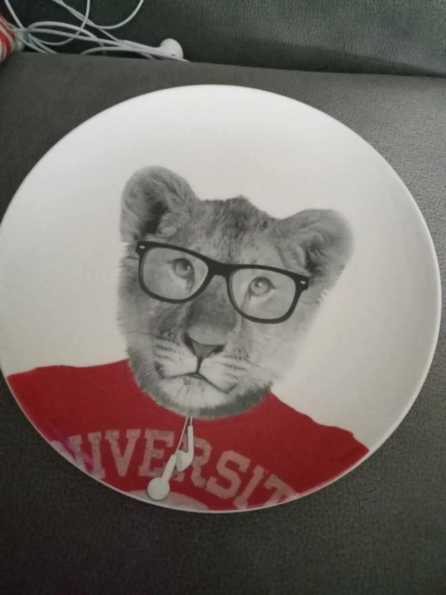 New plate in box - Image 2