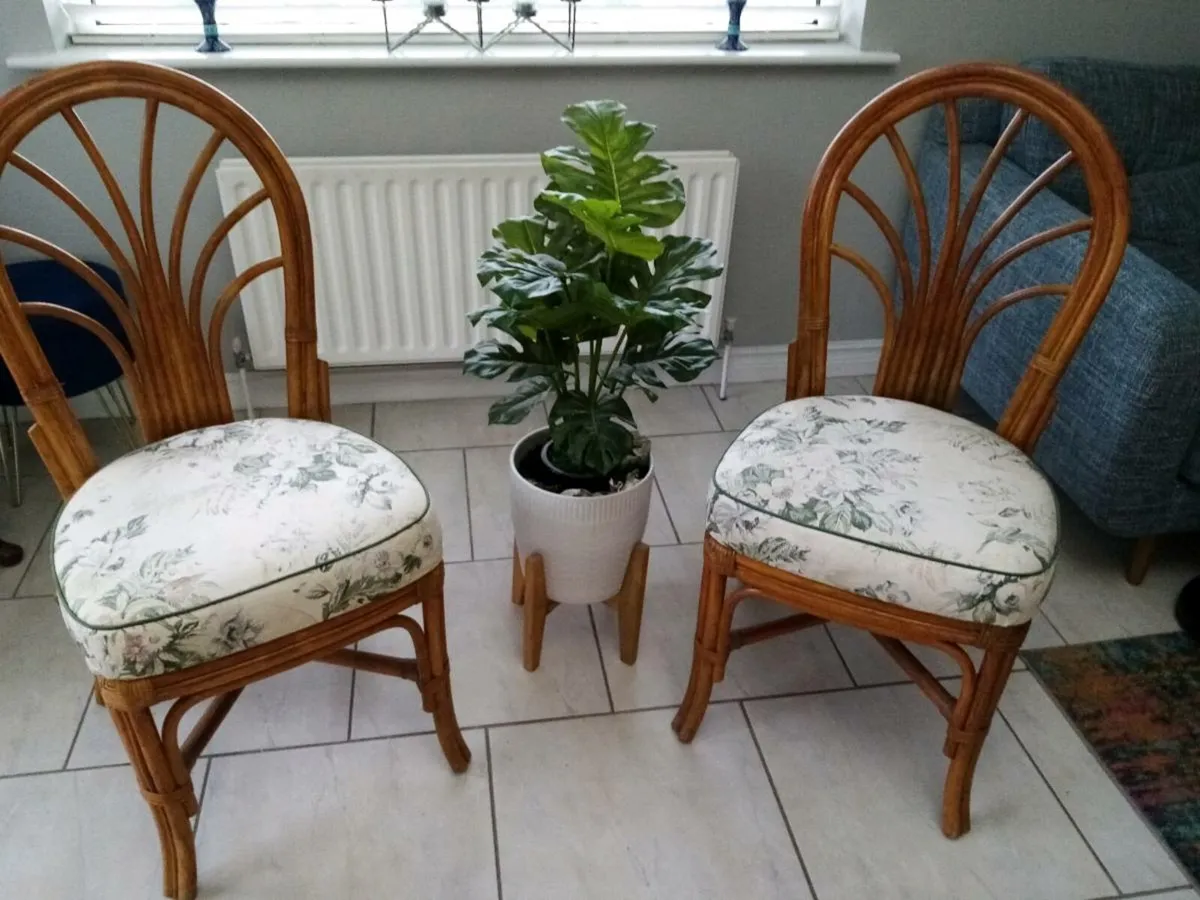 Two occasional bamboo chairs - Image 1