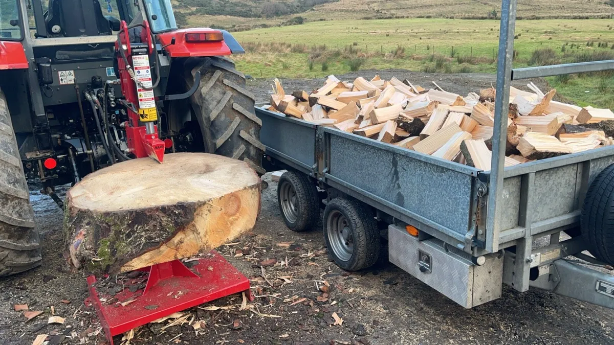 Firewood - Image 1