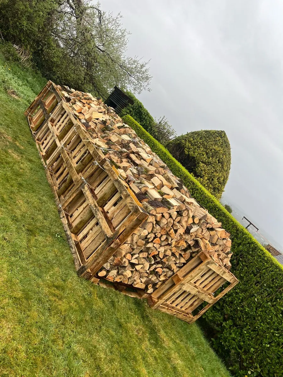 Firewood - Image 1