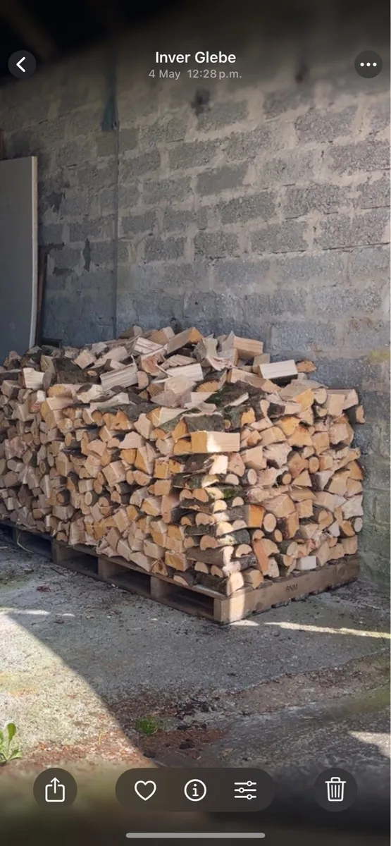 Firewood - Image 2