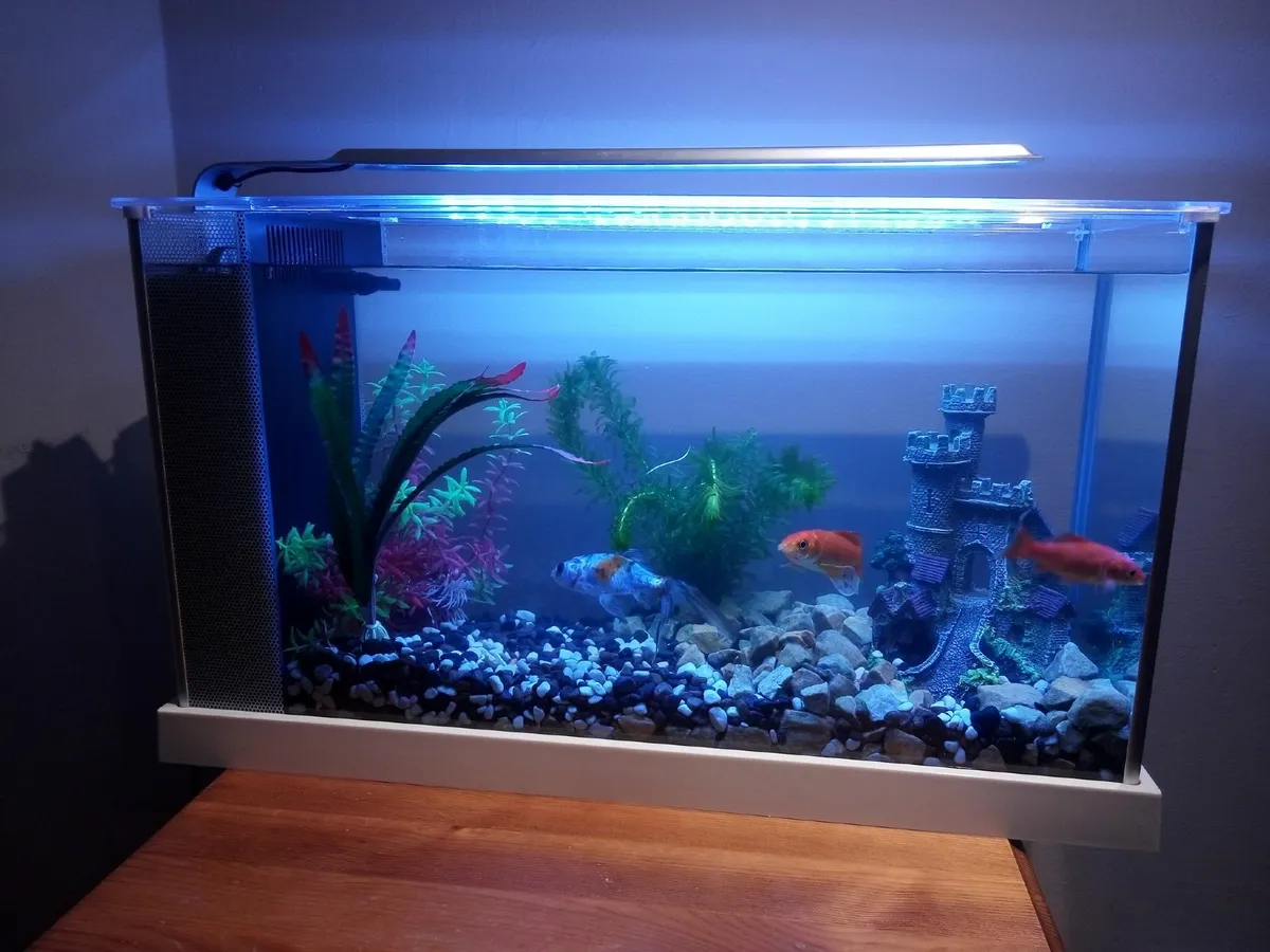Fish Tank 20 litres Full set - Image 1