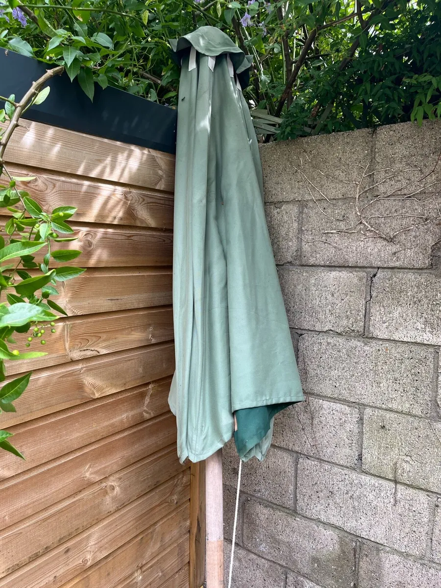 Parasol