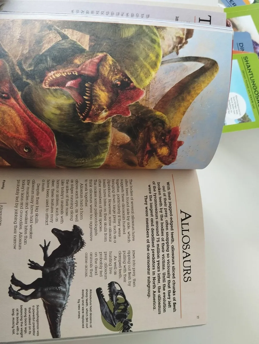 Dinosaurs Book and Fact Cards 128Page Book 52 Fact - Image 4