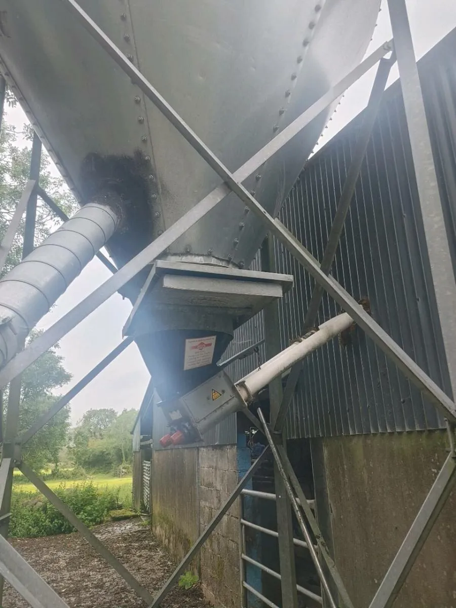 Meal bin with augers - Image 2