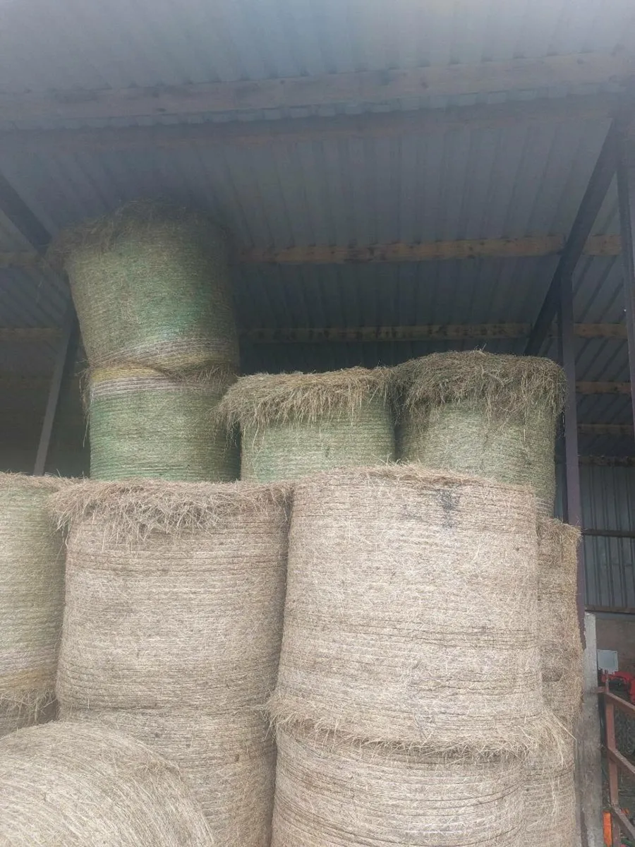 Good quality hay - Image 1
