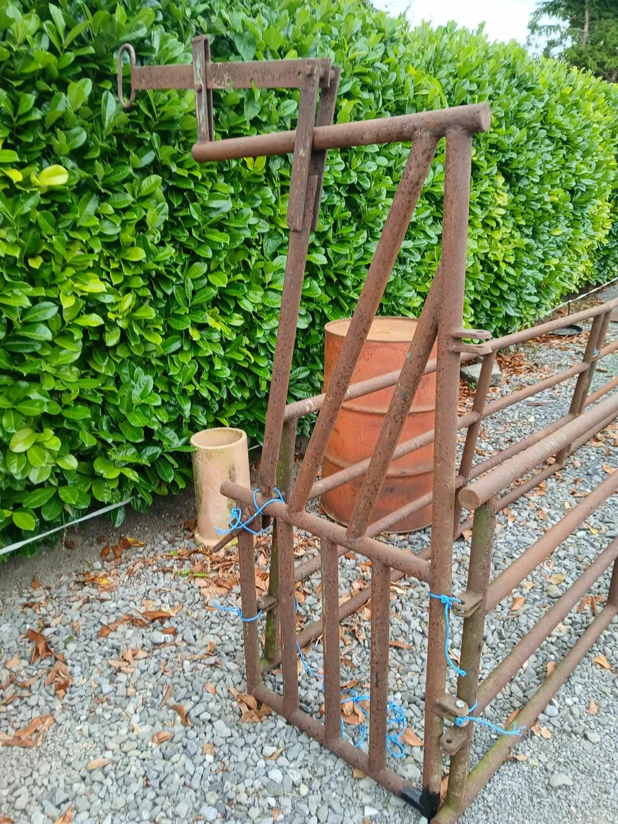 Cattle Pin with Swing gate - Image 1
