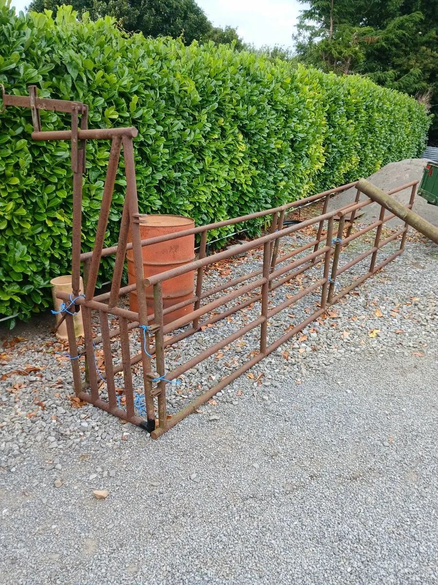 Cattle Pin with Swing gate - Image 2