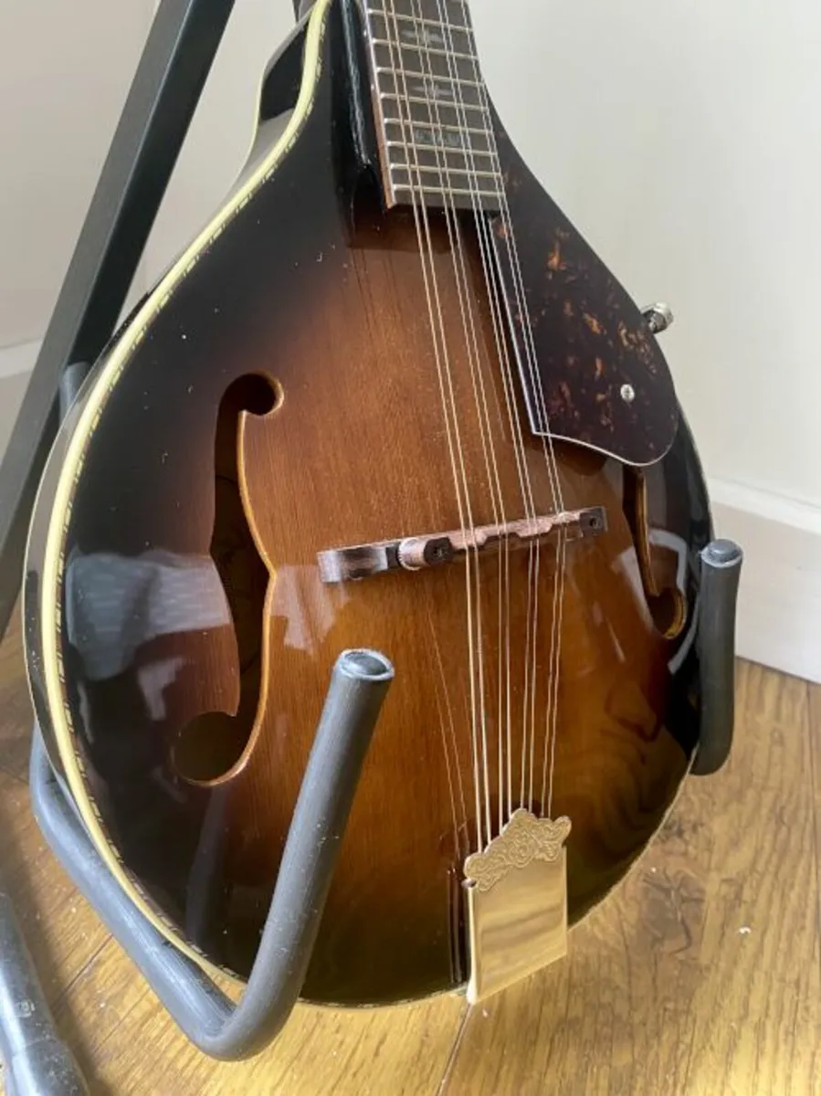 Fender Concert Tone Mandolin A 52E acoustic / elec - Image 3