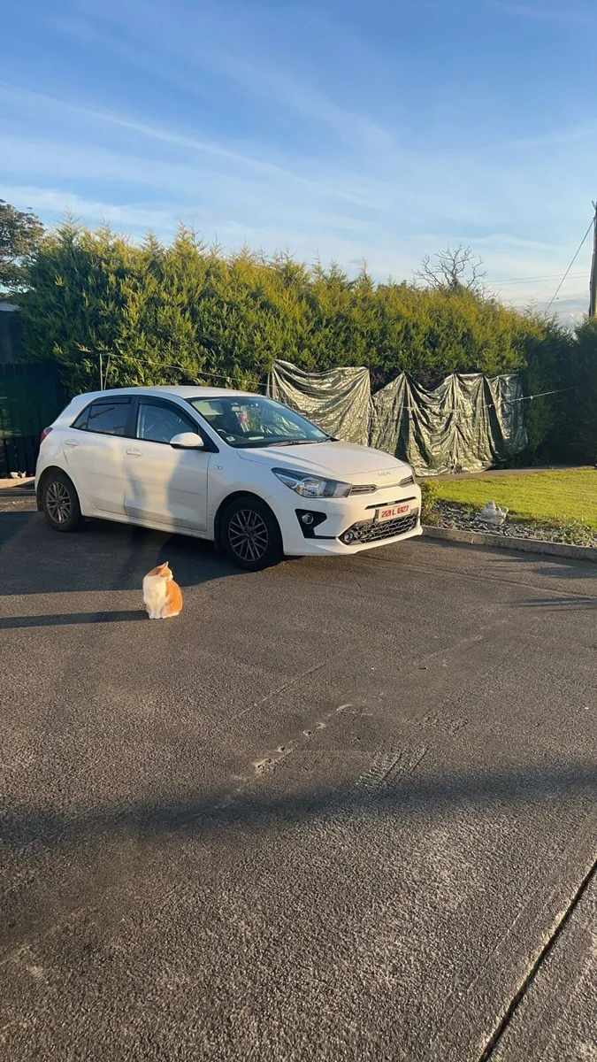 Kia Rio - Image 2