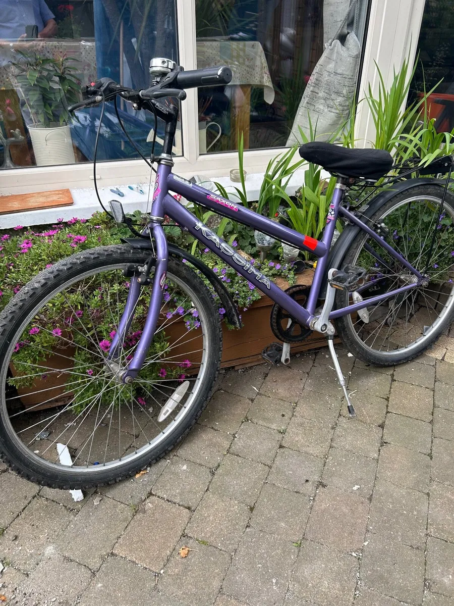 Ladies Bike - Image 2