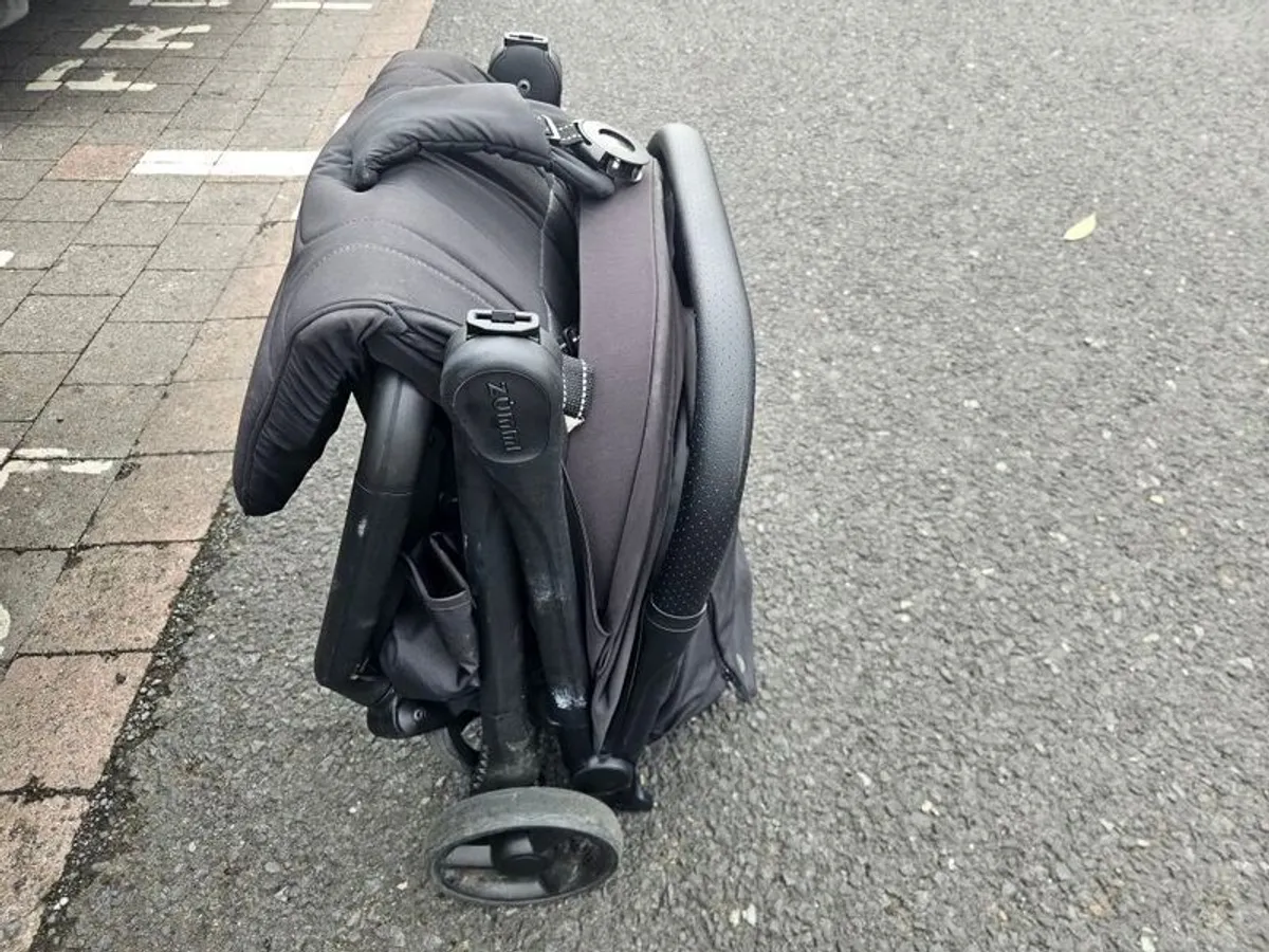 Buggy - Image 1