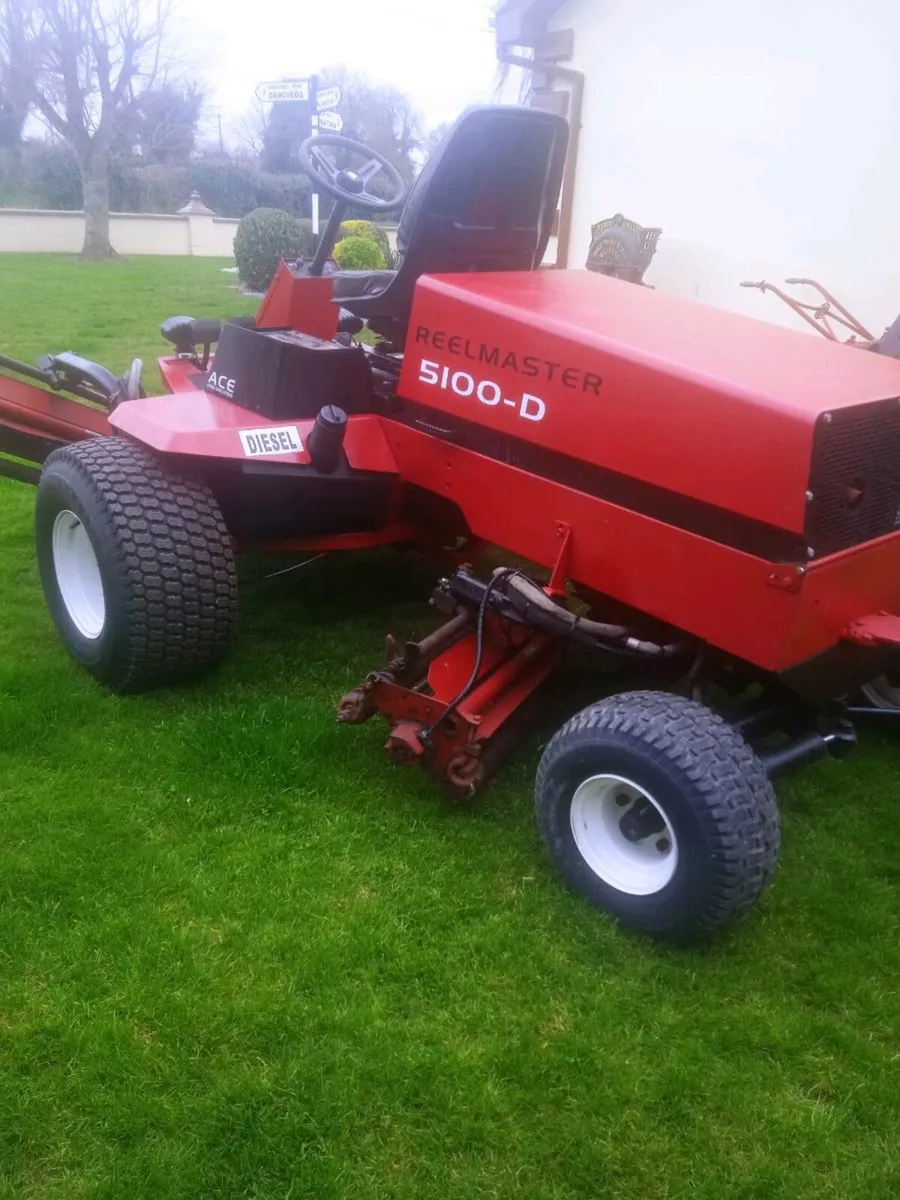 Toro - Image 1