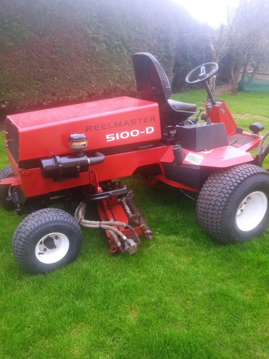 Toro - Image 2