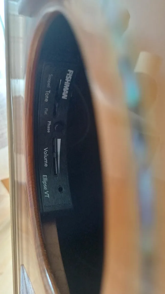 Avalon L25C guitar - Image 2