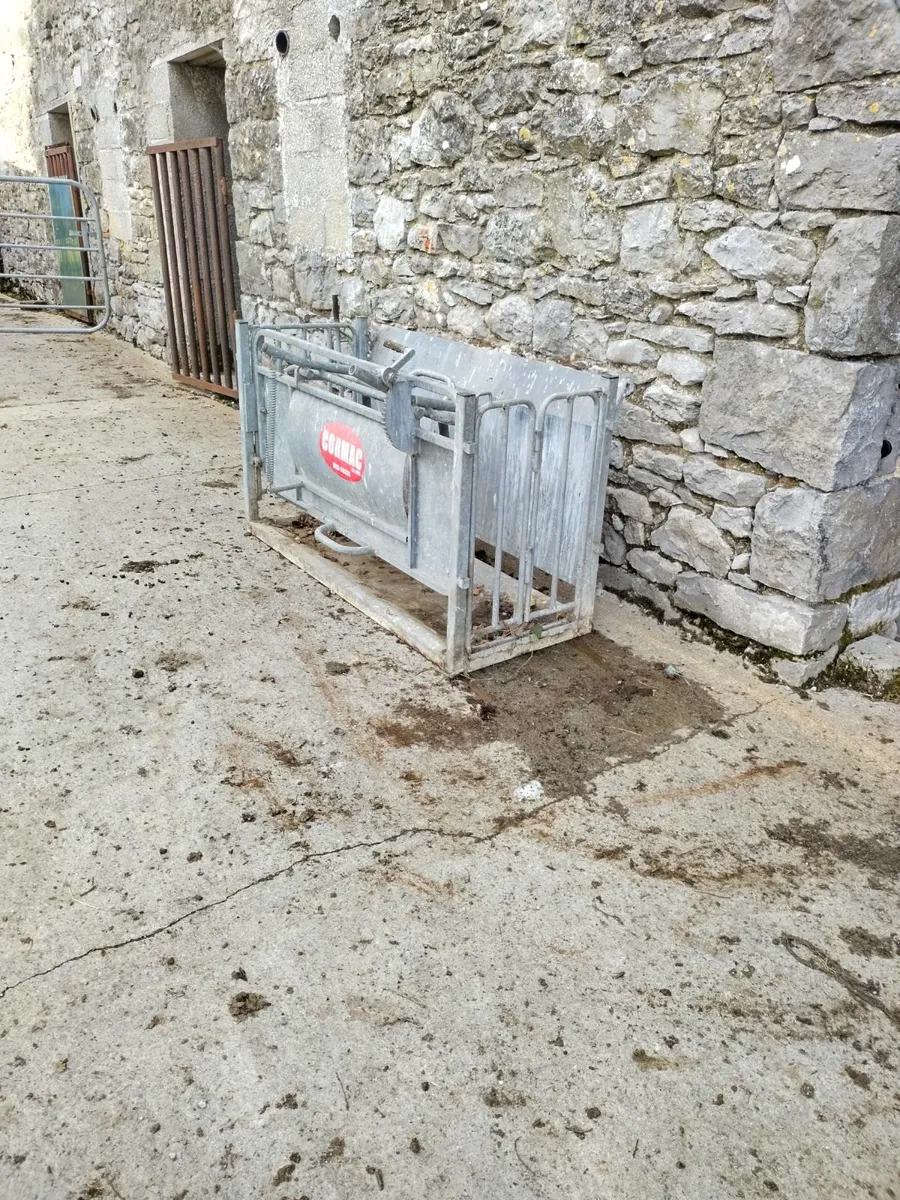 Turn over crate - Image 4