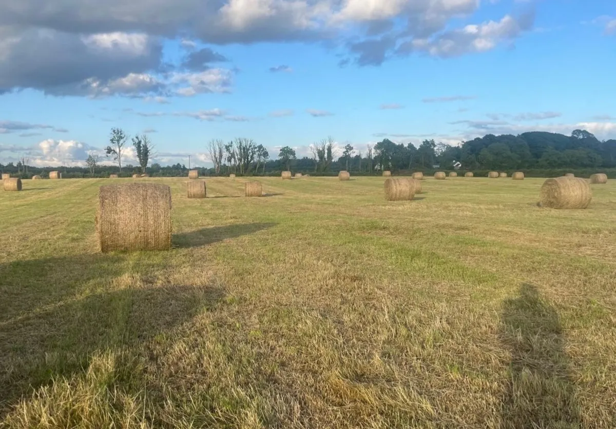 Hay Round Bales - Image 1