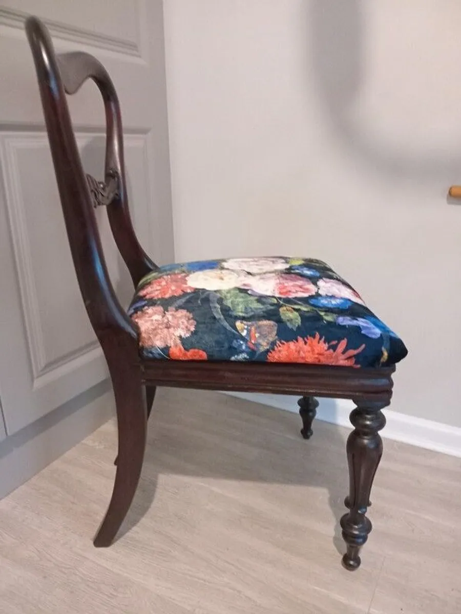 Recently restored Rosewood Ballon back ballroom chair, 1850sRecently restored Rosewood Balloon back ballroom chair, 1850s - Image 2