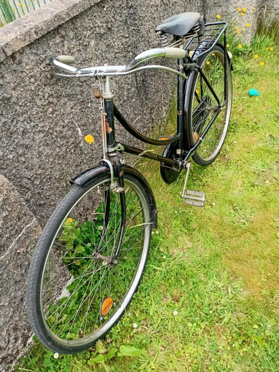 Adults bike - Image 2