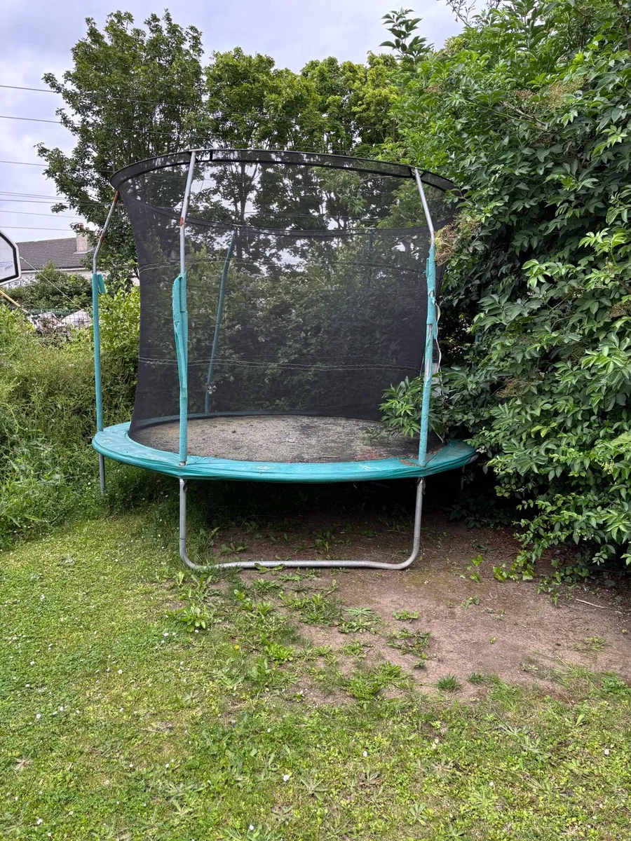 **FREE** Trampoline - Image 1