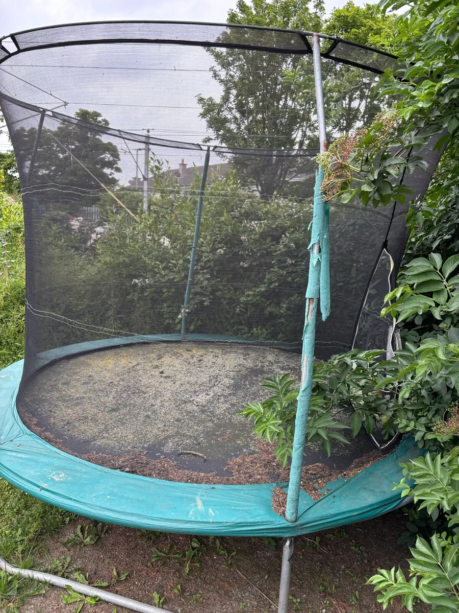 **FREE** Trampoline - Image 2
