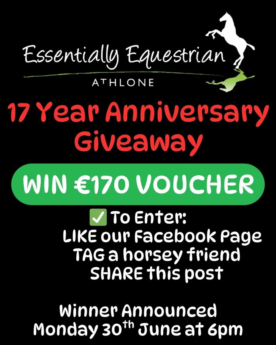 Anniversary Sale 20% off - Image 1