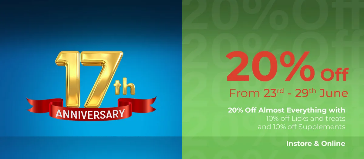 Anniversary Sale 20% off - Image 2