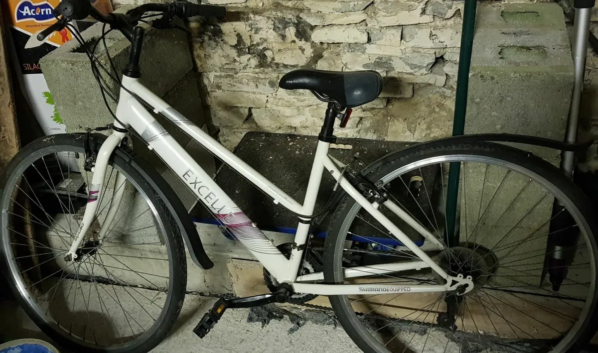 Womens Mountain Bike - Image 1