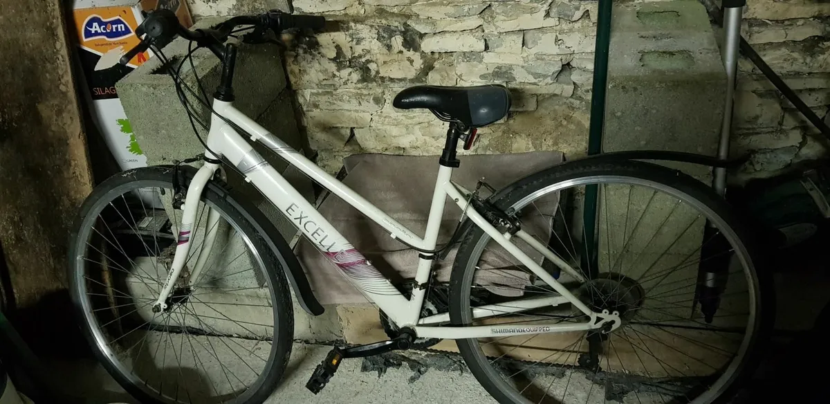 Womens Mountain Bike - Image 2