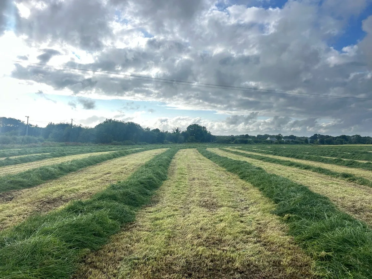 First and Second cut Silage - Image 1